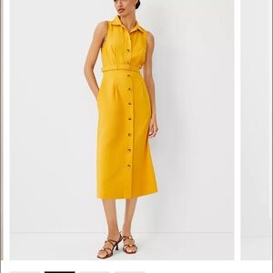 Petite Shirt Collar Flare Midi Dress